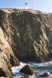 Sumburgh Head cliffs are Old Red Sandstone (image, Frank Bradford)
